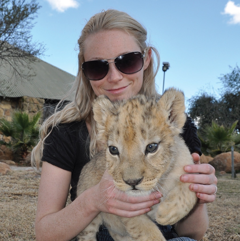 Volunteering with lion conservation Charity Choice.jpg